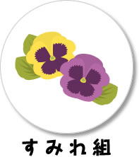 すみれ組